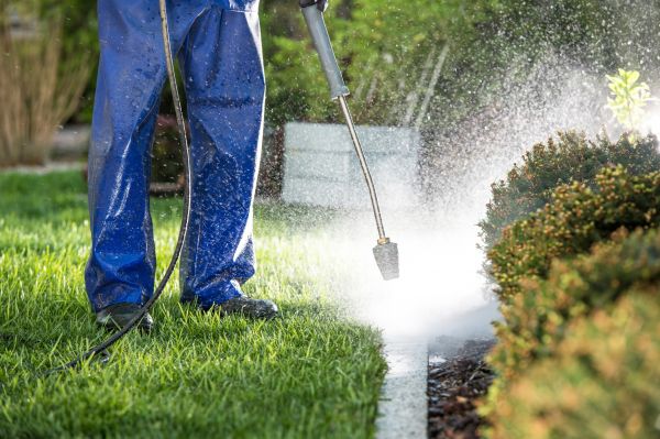 Curb Cleaning in Iowa City