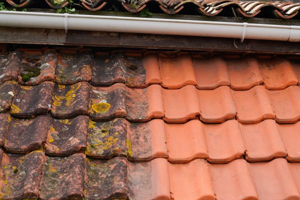 Industrial Roof Cleaning in Iowa City